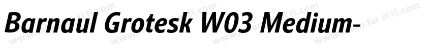 Barnaul Grotesk W03 Medium字体转换